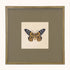 Framed Butterfly gallery set of 6